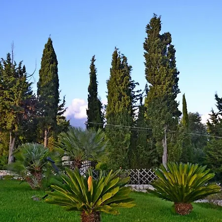 Christina Holiday home *